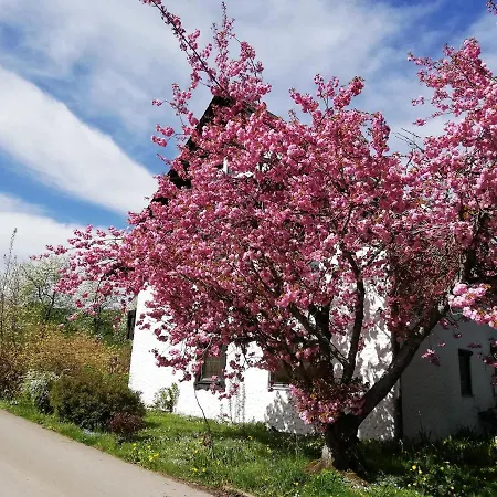 Ferienwohnung Achraintal 3 * Lindau (Bodensee)